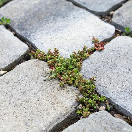 Green46 아파트 메어부쉬