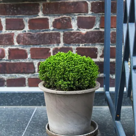 Lägenhet Green46 Meerbusch