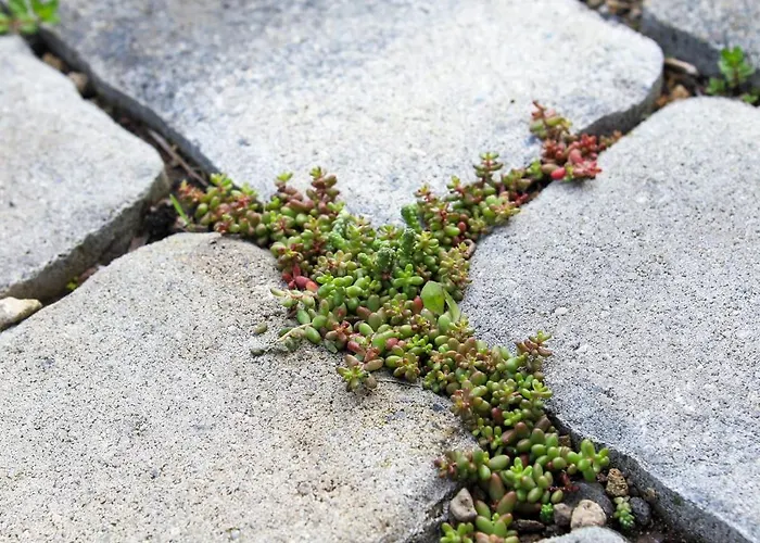 Green46 Lejlighed Meerbusch