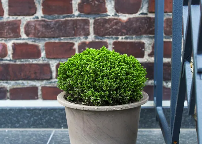 Lejlighed Green46 Meerbusch